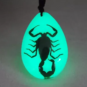 REAL BLACK SCORPION GLOW LUCITE NECKLACE PENDANT INSECT JEWELRY TAXIDERMY GIFT - Picture 1 of 4