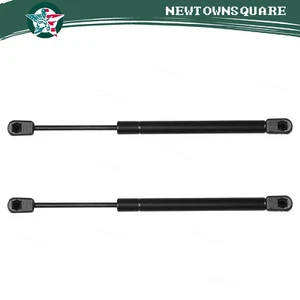 Pair Rear Trunk Gas Lift Supports Struts Shocks For 05-08 Chrysler 300 300C - Picture 1 of 9