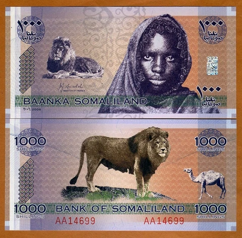 Somaliland, 1000 shillings, 2006, P-CS1, UNC Lion, Girl Cover