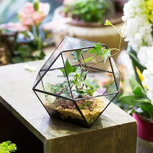 Clear Glass Geometric Terrarium Crystal Ball Glass Geometric Terrarium Planter - Picture 1 of 7