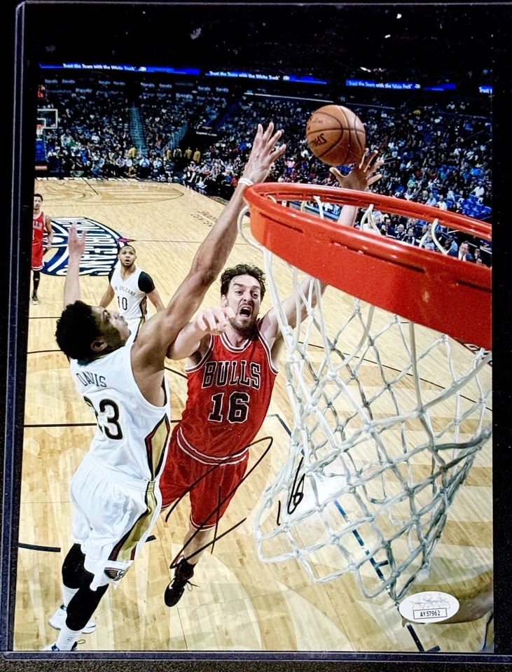 Foto firmada por Pau Gasol de 8x10 con certificación JSA de los Chicago Bulls Foto 1 de 1