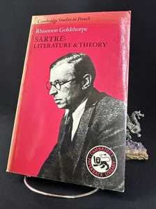 Sartre: Literature & Theory, Rhiannon Goldthorpe 1986 - Foto 1 di 10
