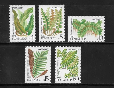 Soviet Russia Scott 5572-5576 1987 Ferns 4k to 50k  Mint Never Hinged -Nice! - Image 1 of 2