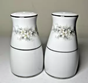 Salero Pimentero Noritake Contempory Fine China #3080 MELISSA EXCELENTE - Imagen 1 de 4