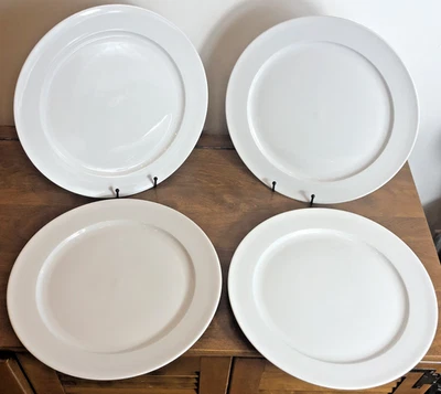 Juego de 4 placas de picado/cargador IKEA 365+ Susan Pryke 12 1/2" Foto 1 de 4