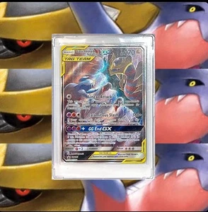 Pokémon TCG Sun 🌞&🌕 Moon Garchomp & Giratina GX #193 Black St✩r Promo Full Art - Picture 1 of 11