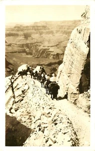PACK TRAIN IN GRAND CANYON, AMATEUR RPPC, VINTAGE POSTCARD - Picture 1 of 2