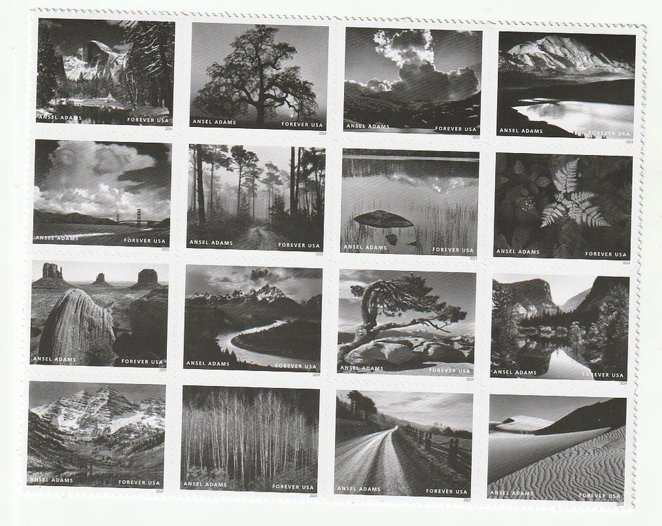 Scott #  5854   Ansel Adams   16 stamps  M/NH OG  Free Ship - Image 1 of 1