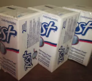 3 Pks of 2 = 6 Bar Zest Whitewater Fresh Family Deodorant Bars Soaps New - Picture 1 of 1