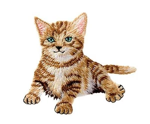 1 Aufbügler♥Bügelmotiv♥Applikation Patch♥ Katze Baby Katze ♥Aufnäher ♥NEU♥♥  - Picture 1 of 2