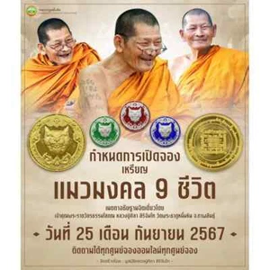 Nine Lives Lucky Cat Coin LP Maha Sila Thai Amulet Wealth Protection Thai Amulet - Picture 1 of 8