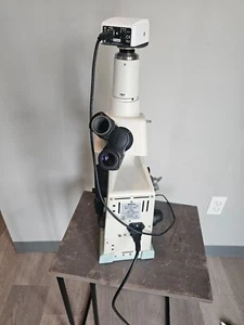 Nikon Eclipse E100 DIGITAL Microscope - Picture 1 of 5