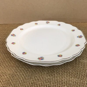 WS George Lido Shabby Cottage White Pink Roses Salad Plates (2) - Picture 1 of 6