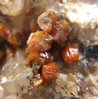 Mimetite v Campylite Crystals Dry Gill Mine Caldbeck Cumbria UK Mineral Specimen