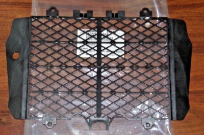 KAWASAKI KFX450R KFX450 RADIATOR SCREEN, PLASTIC GUARD 2008-2014, 14037-0055 - Image 1 of 4