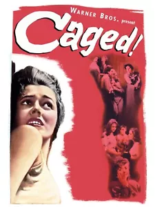 CAGED (1950) Eleanor Parker,Agnes Moore - Public Domain DVD NO CASE - Foto 1 di 4