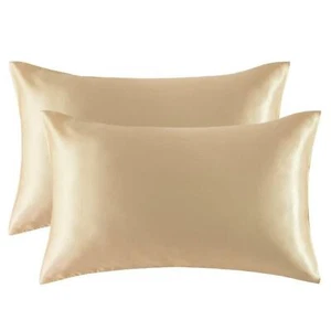 Satin Pillowcase (2 Pack) for Hair Skin Silk Pillow Case, Queen Size(20x30 inch) - Picture 1 of 7