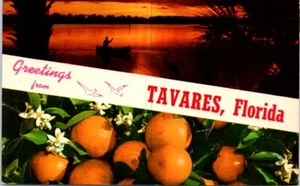 1970s Tavares Florida Postcard Greetings from Tavares Oranges Lake Canoe - Picture 1 of 2