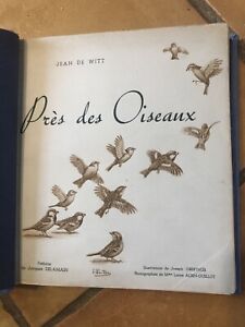 ORNITHOLOGIE WITT Près des Oiseaux ILLUSTRE OBERTHUR PHOTOS Laure ALBIN-GUILLOT 