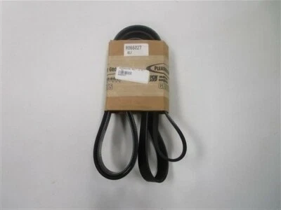 PLEASURECRAFT CRUSADER PCM SERPENTNE BELT 6.0L R066027 MARINE BOAT - Image 1 of 4