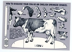 Postal Perro Vaca Cómo Disfrazar a Tu Vaca Como Un Spaniel Inglés Tarjeta de Humor - Imagen 1 de 2