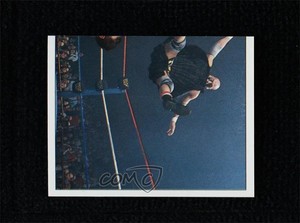 1997 Panini WWF Superstars Album Stickers Thrasher Owen Hart #128