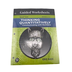 NEW Guided Worksheets For Thinking Quantitatively Communicating W/Numbers 2nd Ed - Picture 1 of 3