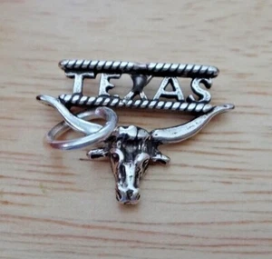 20% de descuento Plata Esterlina 18x22mm Says Texas on Texas Longhorn Dije - Imagen 1 de 5