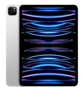 Apple iPad Pro 11 (2022) 11" WiFi + 5G 1TB 16GB RAM 12MP Apple M2 Tablet CNSHIP - Picture 1 of 3