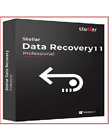 Stellar Data Recovery Standard for Windows | Email Delivery | Digital Download
