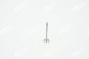 1X Soupape D'Échappement 2810530200 132025379R Smart Renault Dacia 0.9 1.2 TCE - Picture 1 of 2