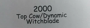 2000 Top Cow/Dynamic Witchblade Millennium Auto Jose Villarrubia 252/700 - Picture 1 of 3