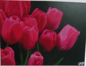 Pink Tulips Flower Counted Cross Stitch Chart No.14-142 - Picture 1 of 2