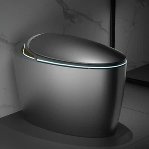 WinZo Luxury Smart Toilet With Bidet Seat,Auto Open Auto Flush Side Buttons Grey - Picture 1 of 6
