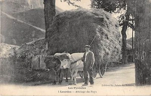 CPA 65 LOURDES ATTELAGE DU PAYS (superbe - Picture 1 of 1
