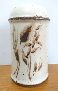 Midwinter Stonehenge Wild Oats Pattern Salt Pot PERFECT CONDITION - Picture 1 of 6