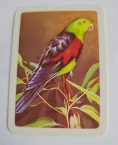 Australiana bird studies card  - # 77 - free postage  - lot 269 - Picture 1 of 2
