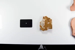 Glossopteris Fossil Tongue Leaf Plate [FOSSIL FAUNA 299 mill yrs old] - Picture 1 of 12