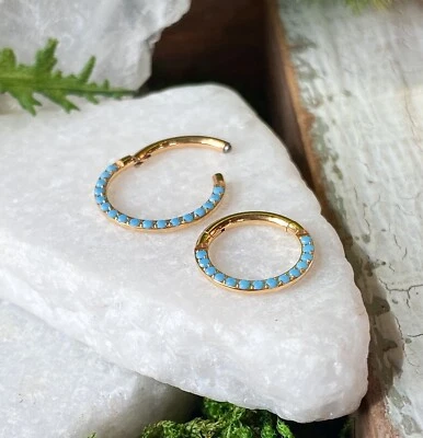 Anillo de segmento con bisagras de titanio frontal turquesa aro de tabique hélice joyería Daith 1 pieza Foto 1 de 4