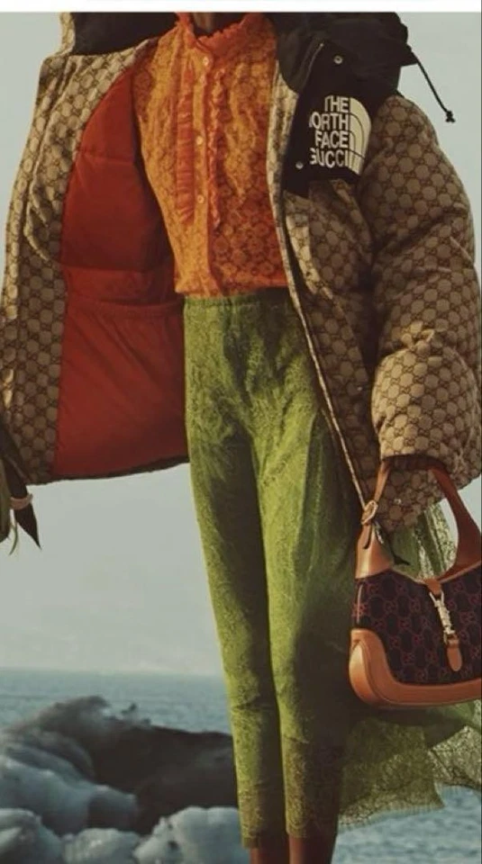 FALDA LARGA PLISADA ENCAJE COLABORACIÓN GUCCI THE NORTH FACE X BUENA USADA Foto 1 de 4