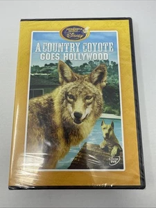 A Country Coyote Goes Hollywood The Wonderful World of Disney DVD NEW - Picture 1 of 2