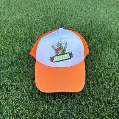 Sombrero de camionero vintage Desert Cactus SnapBack Foto 1 de 3