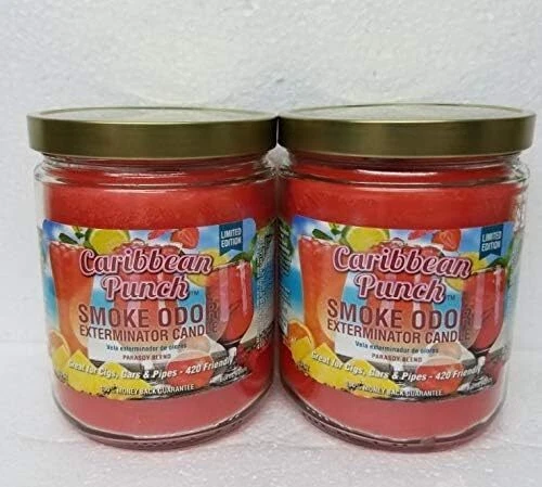 Candele barattolo sterminatore odori di fumo 13 oz EDIZIONE LIMITATA - Immagine 1 di 1