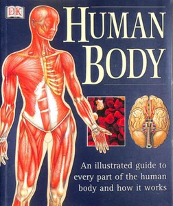 Human Body: An Illustrated Guide To Every Part Of The Human Body And How It Wo.. - Picture 1 of 1