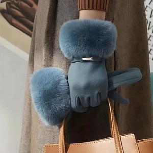 Women Gloves | Fur-Lined | Classy Suede | Warm Winter | Touchscreen Feature - Picture 1 of 4