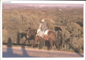 ALGARVE, Portugal, Donkey & Rider - Vintage POSTCARD - Picture 1 of 2