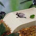 Reptile Bowl with Ramp Tortoise Food Dish for Bearded Dragon Chameleon Gecko