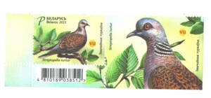 Belarus 2023 Birds - European Turtle Dove 1 v. with label , MNH - Picture 1 of 1