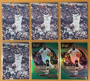 RaiQuan Gray Rookie Cards - Long Island Nets + Florida State