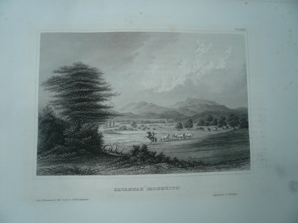 Savannah-Georgia, steelengraving, anno 1860, Bibliographisches Institut  - Image 1 of 1